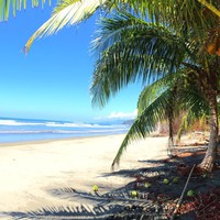 Profile Picture of Emily Stuesser (@emily-stuesser) on Quora