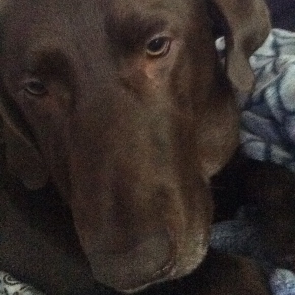 Profile Picture of Jesse Hoss (@jessehoss25) on Poshmark