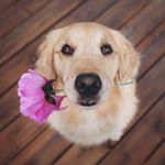 Profile Picture of Mike Wu (@mikewushoe) on Instagram