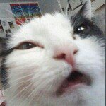 Marissa Keith - Instagram Profile Picture of Marissa Keith (@marissa_smiles_keith) on Instagram