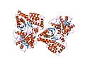Profile Picture of Carnitine O-palmitoyltransferase - Wikipedia, the free encyclopediaon Wikipedia