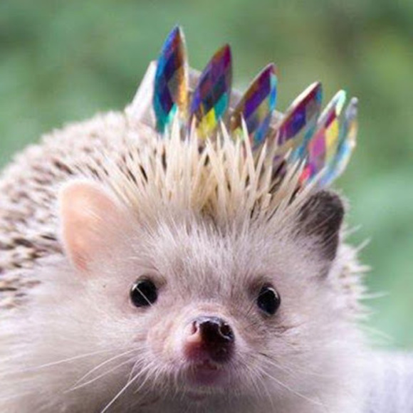 Ayden Dittberner - Poshmark Profile Picture of Ayden Dittberner (@a_dittberner) on Poshmark