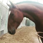 Profile Picture of Zena Thomas (@zena.thomas.9250) on Instagram