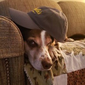 Profile Picture of Steven Simmerman (@StevenSimmerman) on Twitter