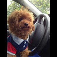 Profile Picture of Kevin Berard (@kevin-berard-5) on Quora