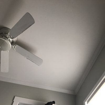 Profile Picture of Daniel Nalley (@davemastabird) on Twitter