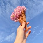 Profile Picture of Anhthu Hoang (@anhthu.hoang.14) on Facebook