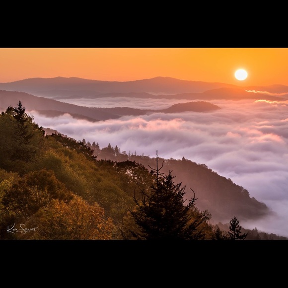 Profile Picture of Michael Lonas (@retro615) on Poshmark