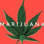 Profile Picture of Joseph Dwayne Hewitt (@joejoedh) on Instagram