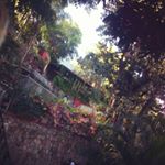 Profile Picture of imelda madrigal (@madrigal.imelda) on Instagram