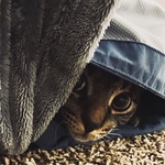 Profile Picture of Devon Buffington (@d.buffington96) on Flickr