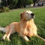 Profile Picture of Vicki Riddle Johnson (@vickiriddlejohnson) on Instagram