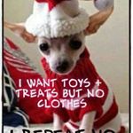 Profile Picture of Cindy Macon-Howle (@cindy_howle) on Instagram