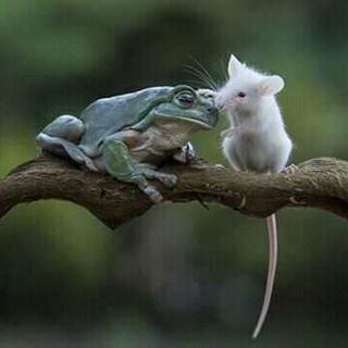 Profile Picture of Jack Kolbe (@jackal.perry) on Facebook