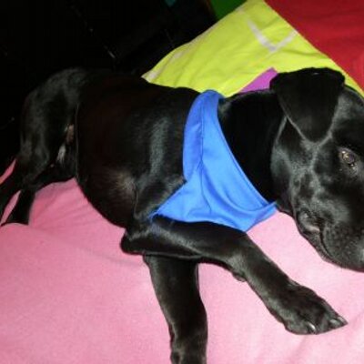 Profile Picture of Jose Isidro (@joseisidro1853) on Twitter