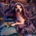 Profile Picture of David Layson (@artuswind) on Pinterest