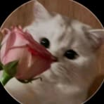 Profile Picture of Chaity Khatun (@Chaity-Khatun) on Facebook