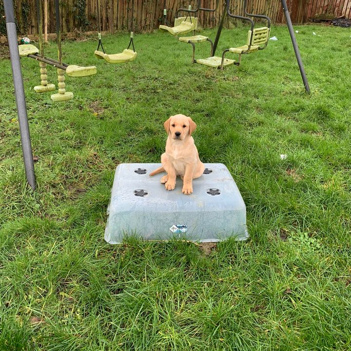 Profile Picture of sylviawal (@sylviawal) on Tiktok