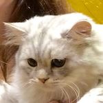 Me - Instagram Profile Picture of Me (@glenn_gammage) on Instagram