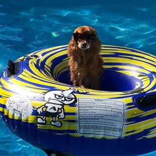 Profile Picture of Annette Baillie (@annette.baillie.18) on Facebook