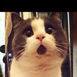 Profile Picture of Hayden Michael Hermann (@haystack0) on Instagram