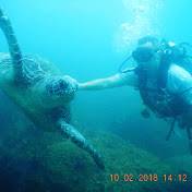 Profile Picture of Robert Drew (@robbieinaus) on Youtube