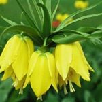 Profile Picture of semasevda (@derinadam61) on Instagram