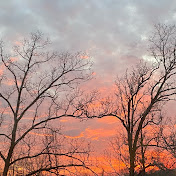 Profile Picture of Asmr Lea Bean🦋 (@asmrleabean321) on Youtube