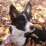 Profile Picture of Sandra Ebertowski (@sandra.ebertowski) on Facebook