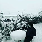 Profile Picture of ジュニオ (@juliooalexander) on Instagram