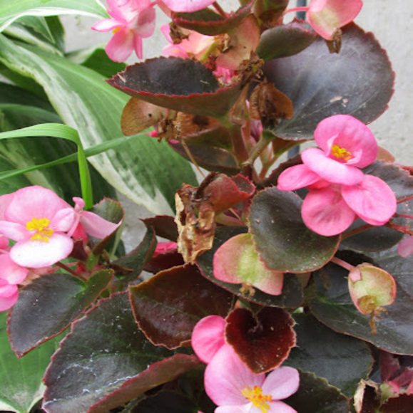 Raylee Barnwell - Poshmark Profile Picture of Raylee Barnwell (@rayleebarnwell) on Poshmark