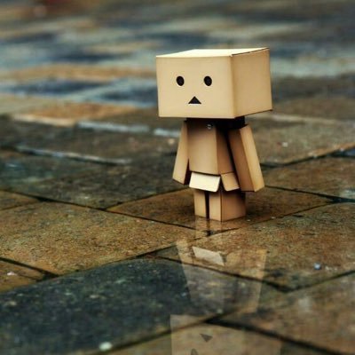 Profile Picture of Madeline Fink (@MadelineCrazy44) on Twitter