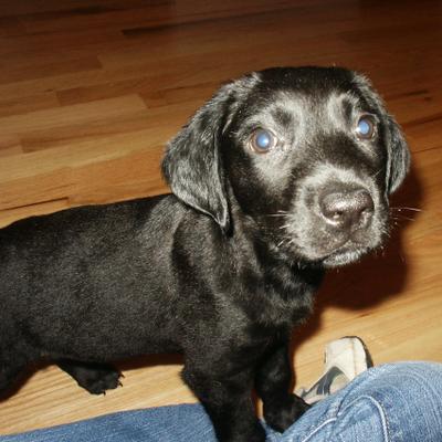 Profile Picture of Jay McMunn (@jmcmunn) on Twitter