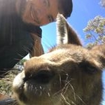 Profile Picture of Zack Meyer (@zackzachzaczak) on Instagram