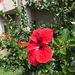 Profile Picture of Aracely Aguilar (@aracelyaguilar1) on Pinterest