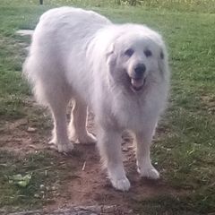 Profile Picture of Derek Newton (@derek.newton) on Tiktok