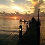 Profile Picture of Gary Tutton (@tuttongary) on Instagram