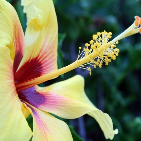 Ashley Mercurio - Poshmark Profile Picture of Ashley Mercurio (@ashleymercurio_) on Poshmark