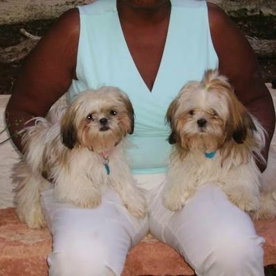 Profile Picture of Jean Bradford (@friendly12u) on Twitter