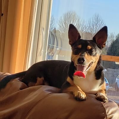 Profile Picture of Tyson Maluske (@thetysonmaluske) on Twitter