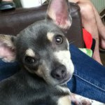 Profile Picture of Melody Marie Cecilia Hart (@melocraft05) on Instagram
