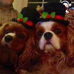 Profile Picture of Chris Soper (@chris.soper.31) on Instagram