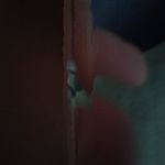 Profile Picture of 𝕁𝕒𝕪 ℕ𝕖𝕨𝕥𝕠𝕟 (@newton._jay) on Instagram