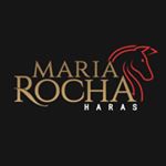 Profile Picture of Haras Maria Rocha (@haras_maria_rocha) on Instagram