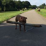 Profile Picture of Matthew Delaney (@matthewdelaney5) on Instagram