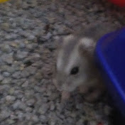 Profile Picture of Nancy Fox (@nancyfox2138) on Youtube