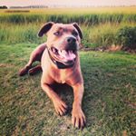 Profile Picture of Mark Hodsdon (@markhod6) on Instagram