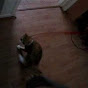 Profile Picture of Jimmy Martin (@@jimmuscrimmus) on Tiktok