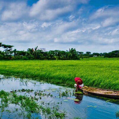 Anup Chakraborty - Twitter Profile Picture of Anup Chakraborty (@AnupChakraboty) on Twitter