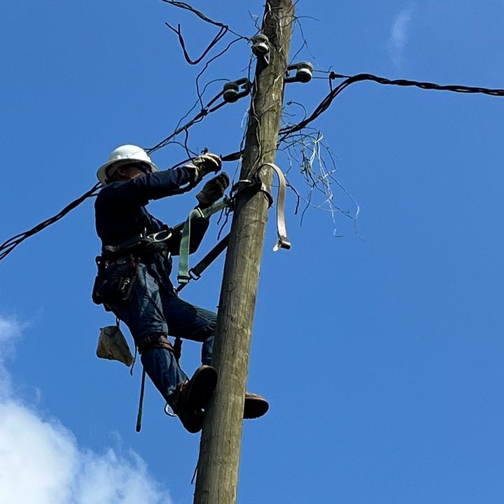 Profile Picture of Trent holt (@trentholt2) on Tiktok